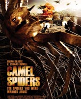 Смотреть Онлайн Верблюжьи пауки [2012] / Camel Spiders Online